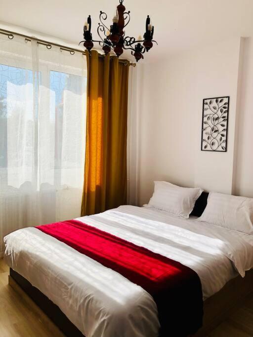 Joy City Stay Victoriei 7G-9 Timişoara Exterior foto