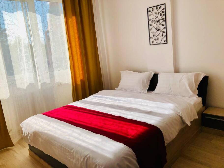 Joy City Stay Victoriei 7G-9 Timişoara Exterior foto
