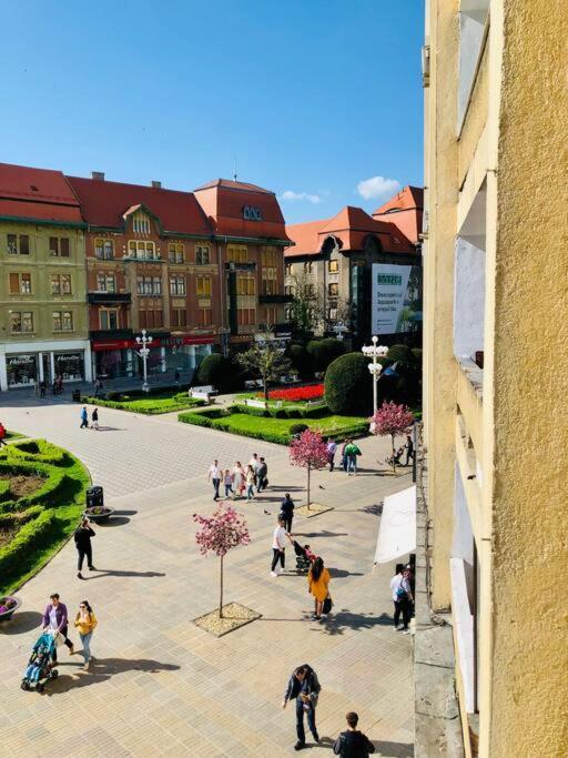 Joy City Stay Victoriei 7G-9 Timişoara Exterior foto