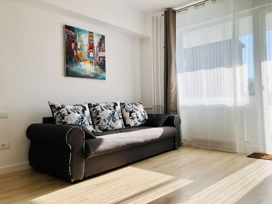 Joy City Stay Victoriei 7G-9 Timişoara Exterior foto